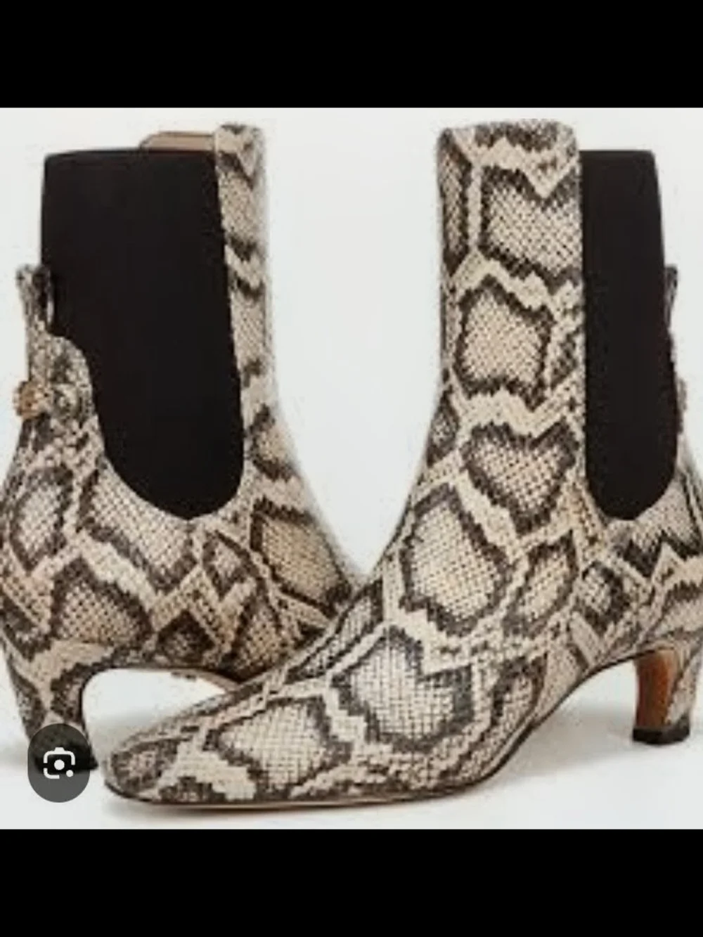New Sam Edelman Margo Leather Snake-Print Chelsea Ankle Boots in Beige and Black